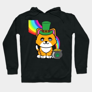 Cute Orange cat is a leprechaun Hoodie